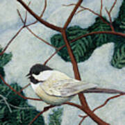 Winter Chickadee Poster