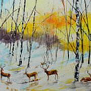 Winter Deer Poster