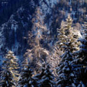 Winter In Bavaria 9 Poster