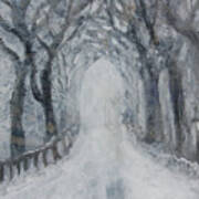 Winter Tree Tunnel Poster