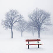 Winter Trees And Bench In Fog Poster