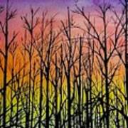 Winter Trees At Sunset Poster