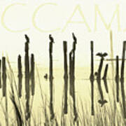 Winter Waccamaw Mist Poster