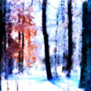 Winter Woods Poster