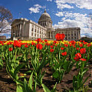 Wisconsin Capitol And Tulips 3 Poster