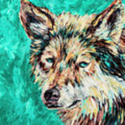 Wolf In Turquoise Poster