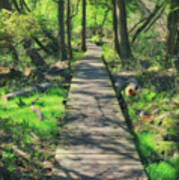 Wooded Path - Spring At Retzer Nature Center Poster