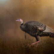 Woodland Walk - Wild Turkey Art Poster