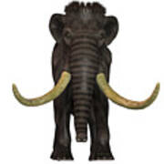 Woolly Mammoth Front Poster