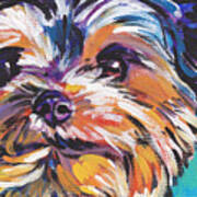 Yay Yorkie Poster