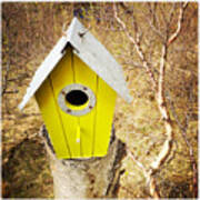 Yellow Bird House Poster