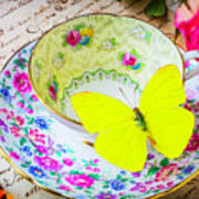 Yellow Butterfly On Tea Cup Poster