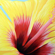 Yellow Hibiscus Poster