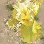 Yellow Iris #1 Poster