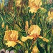 Yellow Irises Poster