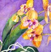 Yellow Orchids Poster