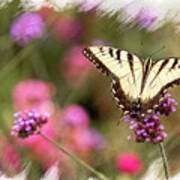 Yellow Swallowtail With Brushed Edge Poster