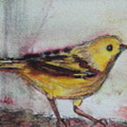 Yellow Warbler Poster