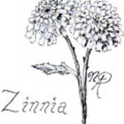 Zannie Zinnia Poster