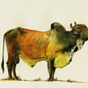Zebu Cattle Art Painting Poster