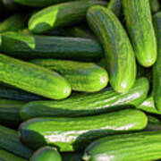 Zucchini Squash Poster