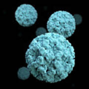 3d Illustration Of Norovirus Virions #1 Poster