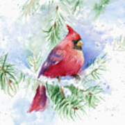 Cardinal In Snowy Tree #1 Poster