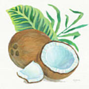 Coconut Palm Ii #1 Poster