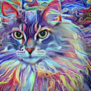Colorful Long Haired Cat Art Poster