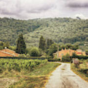 Countryside Near La Castelet #1 Poster