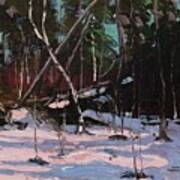 Early Snow, Algonquin Park Poster