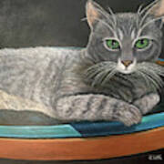 Grey Tabby Cat Poster