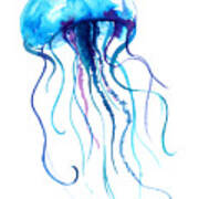 Jellyfish Watercolor Illustration Poster