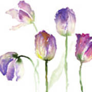 Lavender Hues Tulips Ii #1 Poster