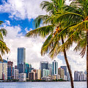 Miami, Florida, Usa Tropical Downtown #1 Poster