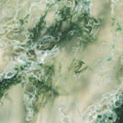 Moss Agate Moss, Closeup #1 Poster