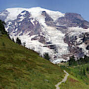 Mt. Rainier, With Conifer Forest #1 Poster