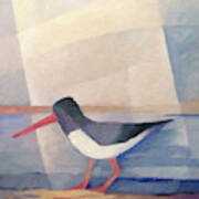 Oystercatcher Painting #2 Poster