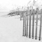 Pensacola Florida Beach Fence Black And White Photo #1 Poster