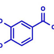 Protocatechuic Acid Green Tea Antioxidant Molecule #1 Poster