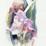 Purple Iris. #1 Poster