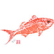 Queen Snapper Ascending Poster