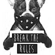 Rebel Dog Ii Poster