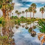 Reflections Of Palm Trees On Hunting Island South Carolina #1 Poster