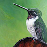 Ruby Throated Hummingbird #1 Poster