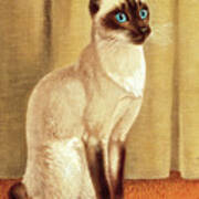 Siamese Cat #1 Poster