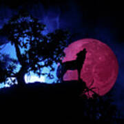 Silhouette Of Howling Wolf Against Dark #1 Poster