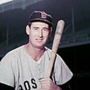 Ted Williams Poster