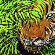 Tiger In Bamboo Poster