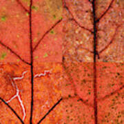 Swatches - Autumn Leaves Inspired By Gerhard Richter Poster